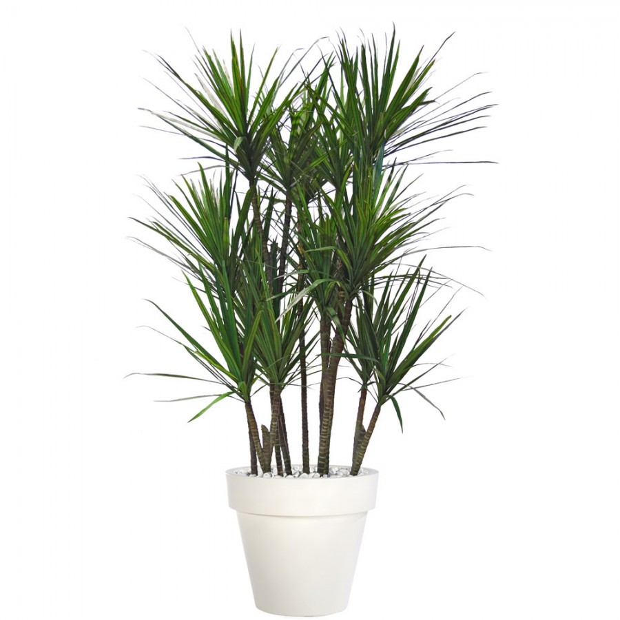 Planta semi-artificiala Ila, Dracaena Marginata Boschetto Green Red - 190 cm